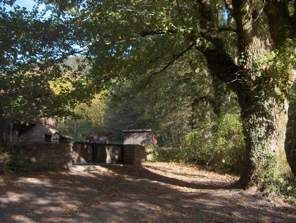 Hostal Itzalargikoborda เอลิซอนโด ภายนอก รูปภาพ